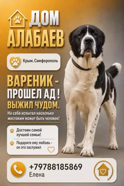 Алабаю нужен дом