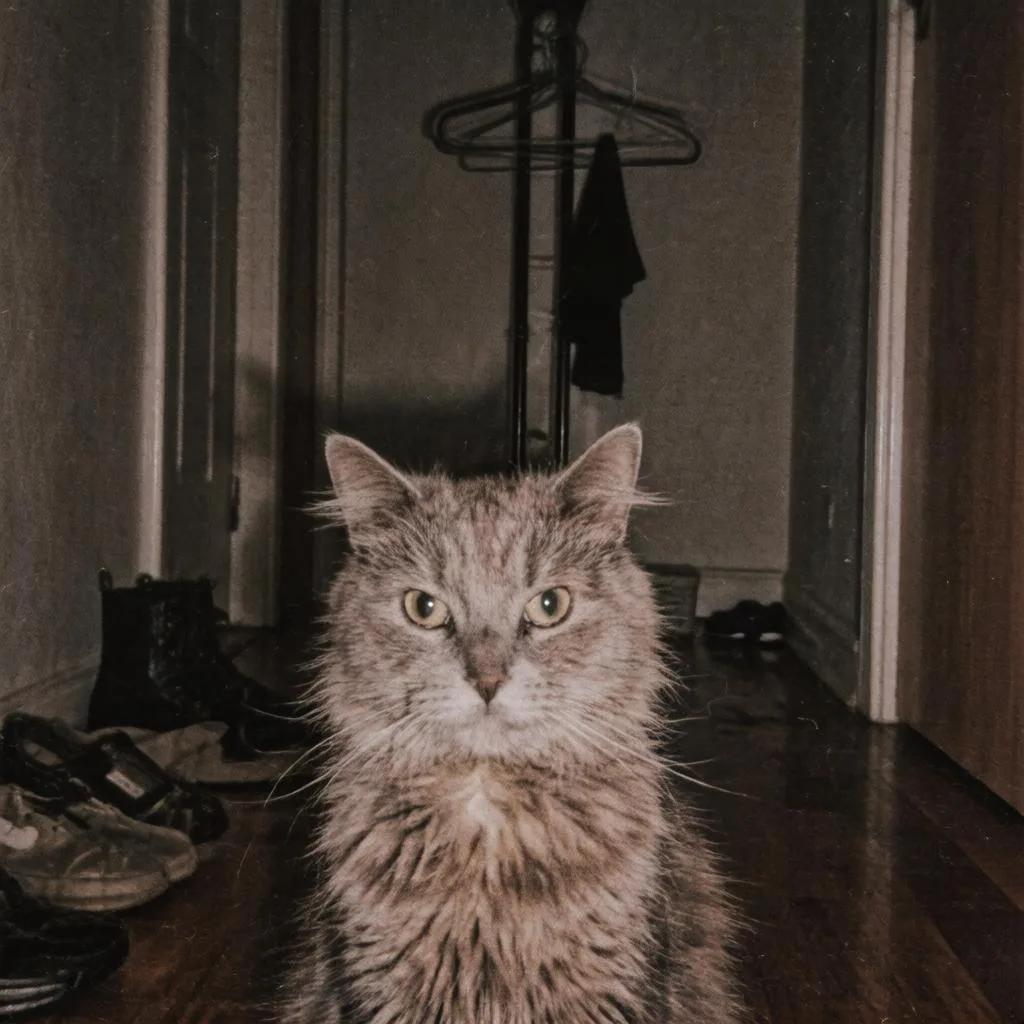 Аватар