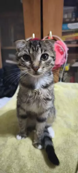 Миниатюра 2